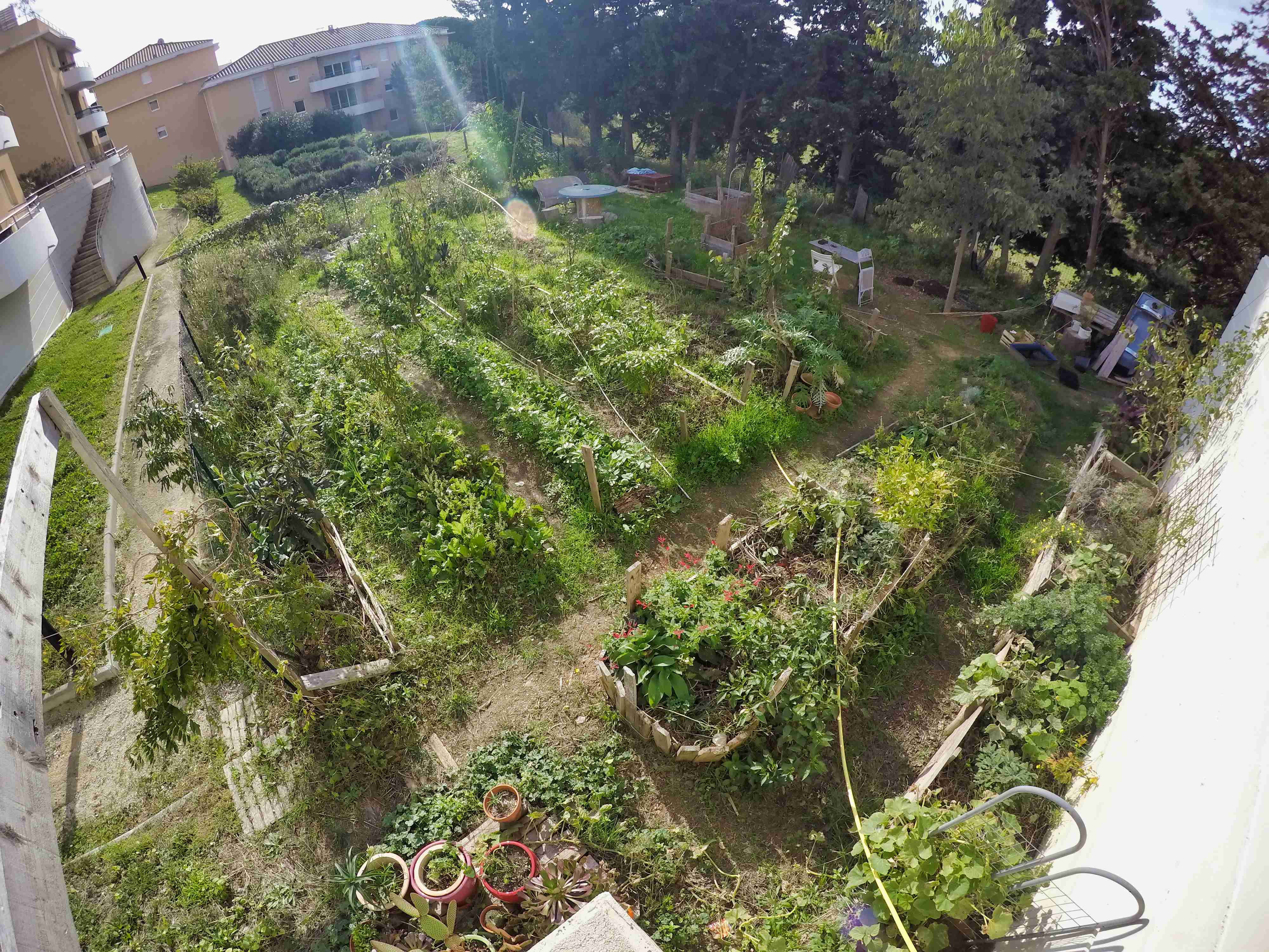 Photo du jardin de Villamont.