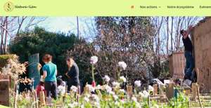 Fond nouveau site natura-lien