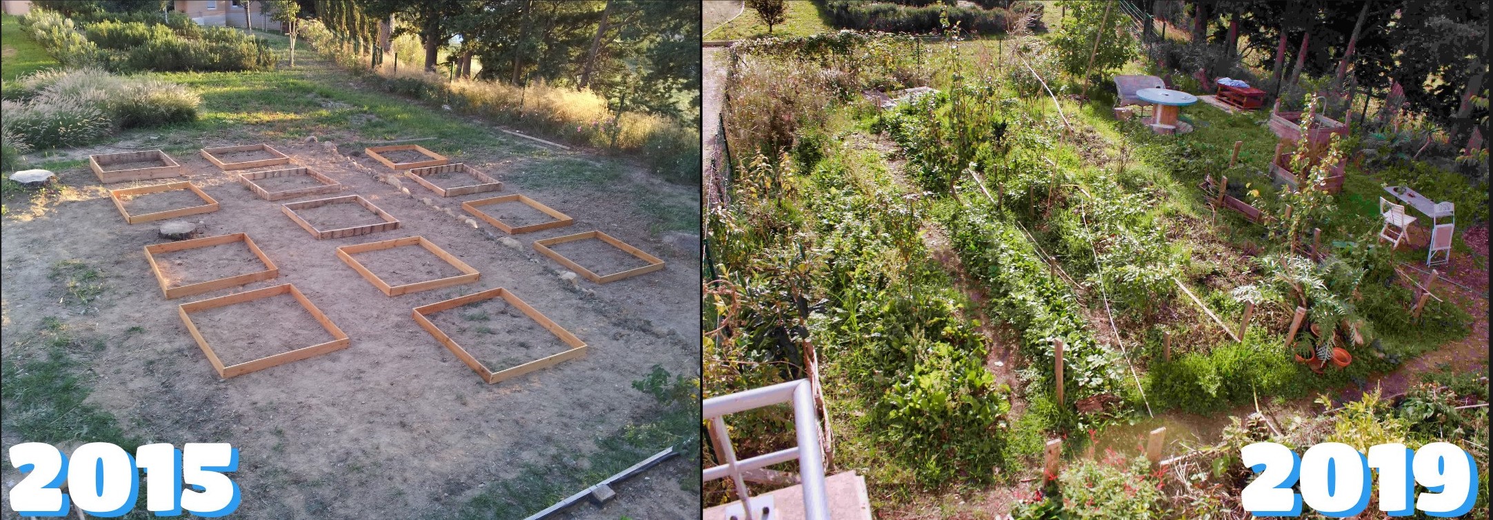photo d'un jardin aménagé selon les principes de la permaculture